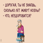 Классная картинка с анекдотом