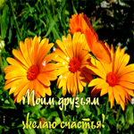 Классная открытка Моим друзьям желаю счастья!