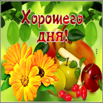 Классная открытка с фруктами Хорошего дня!