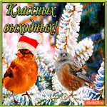 Классных выходных тебе желаю