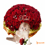 Кошка с букетом цветов