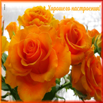 Красивая картинка хорошего настроения