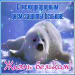 Красивая открытка с днем защиты бельков