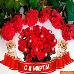 Красивое и прикольное поздравление на 8 марта