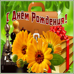 Красочная открытка с днём рождения мужчине с портфелем и книгами
