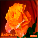 Новая открытка любимой подруге