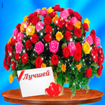 Лучшей женщине в мире