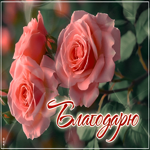 Лёгкая красивая открытка Благодарю