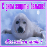 Мерцающая открытка с международным днем защиты бельков