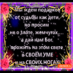 Мы ждём подарков от судьбы