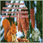 Много счастья и добра тебе желаю
