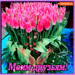 Моим друзьям букет шикарных тюльпанов