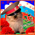 Мужчине на 23 февраля