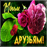 Музыкальная открытка для друзей