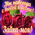 Мы навсегда с тобой вместе