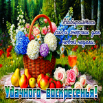 Набирайтесь сил и энергии для новой недели! Удачного воскресенья