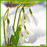 Наступил первый день весны