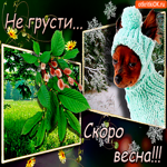 Не грусти скоро весна