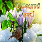 Необычная открытка с весной вас