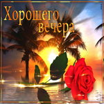 Необычная открытка Хорошего вечера! С пальмами
