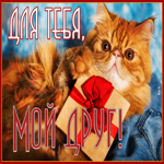Неотразимая открытка с котиком Для тебя, мой друг