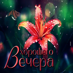Невероятная и волшебная гиф-открытка Хорошего вечера