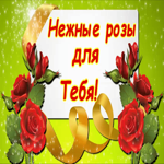 Нежные розы Для Тебя