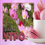 Нежная открытка Доброе утро! С маскарпоне