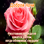Нежная открытка с розочкой Доброй ночи