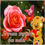 Романтичная открытка Я очень скучаю без тебя!
