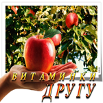 Очаровательная гиф-открытка Витаминки другу