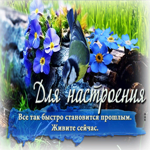 Очаровательная и чарующая гиф-открытка Для настроения