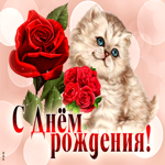 Очаровательная и яркая гиф-открытка с котиком С Днем Рождения