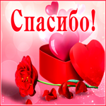 Оптимистическая и радужная гиф-открытка Спасибо