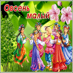 Оригинальная открытка Овсень малый
