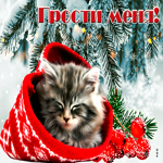 Оригинальная открытка прости меня