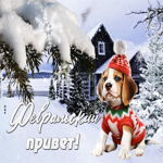 Особенная открытка февральский привет
