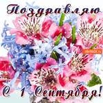 От души поздравляю с днём знаний