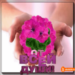 От всей души