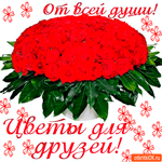 От всей души цветы для друзей