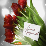 Самой прекрасной