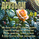Открытка Чем пахнет счастье? Ну, конечно, дружбой