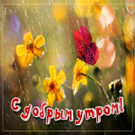 Открытка доброе утро с дождем