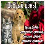 Открытка добрый день друзья