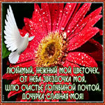 Открытка дочери с добрыми словами