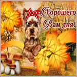 Открытка хорошего вам дня