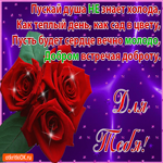 Пожелания Для Тебя