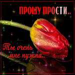 Открытка прости женщине