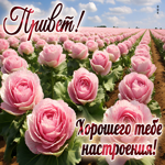 Открытка с цветами Привет! Хорошего тебе настроения