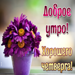 Открытка с добрым утром четверга